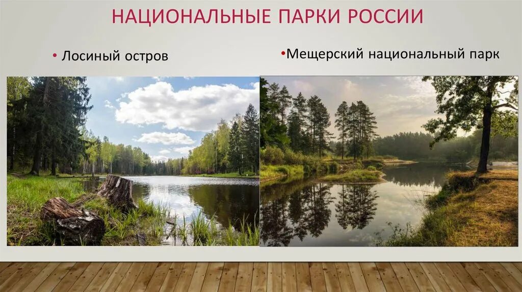Какие национальные парки есть в нашей стране. Заповедники и национальные парки.