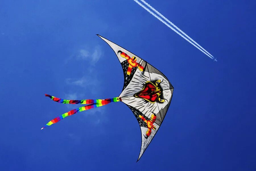 Воздушный змей 4 класс. Фестиваль воздушных змеев в Царицыно 2022. Фестиваль воздушных змеев в Царицыно 2021. Фестиваль воздушных змеев «пёстрое небо». Царицыно воздушные змеи.