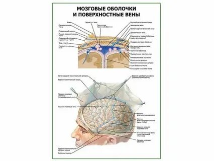 Поверхностная оболочка