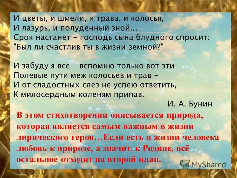 Бунин цветы и шмели трава колосья. Бунин и цветы и шмели. И трава и шмели и колосья. Стихотворение Бунина и цветы и шмели. И цветы и шмели и трава и колосья и лазурь и полуденный.