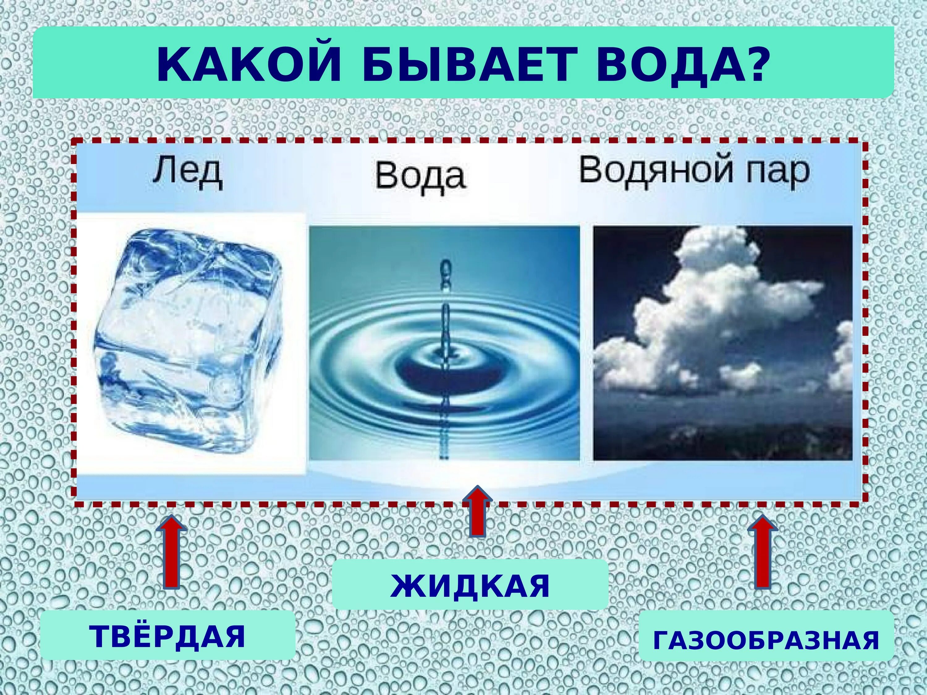 Где есть вода. Газообразное состояние воды. Вода в твердом жидком и газообразном состоянии. Вода жидкая твердая газообразная. Вода для презентации.