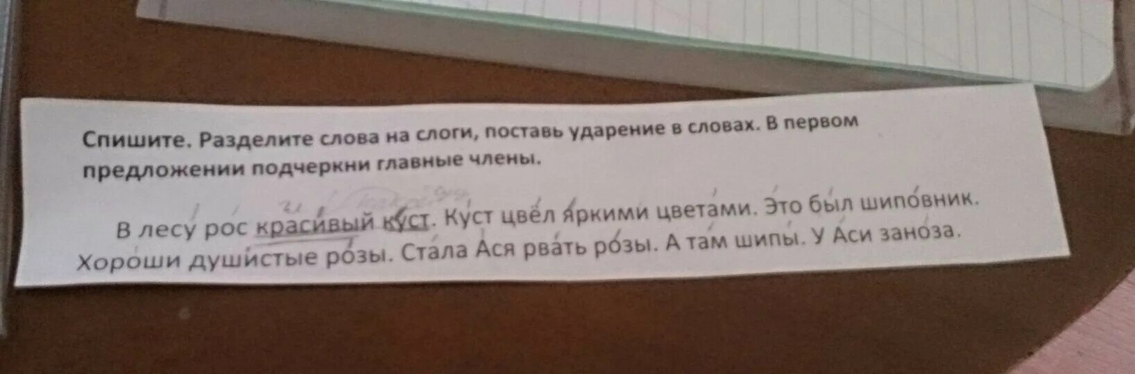 Поставь разбитая. Списать слова разделить на слоги и поставить ударение. Спишите слова поставьте ударение разделите на слоги. Раздели на слоги в лесу рос красивый куст. Куст разделить на слоги.