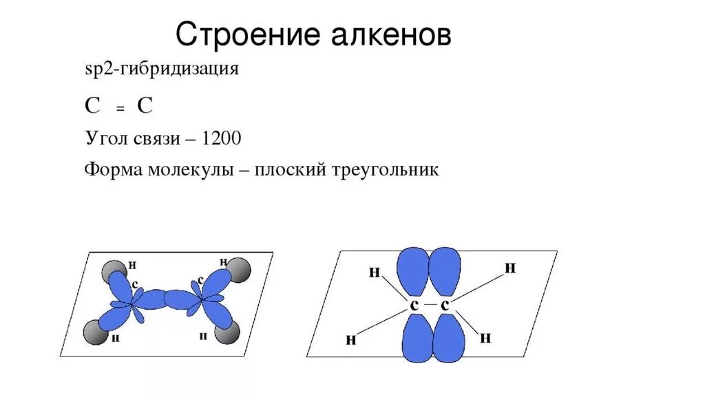 Длина алкина. Пространсвенное строение алкинов. Строение молекулы этилена гибридизация sp2. Пространственное построение алкенов. Строение молекулы алкенов.