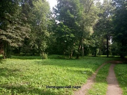 Благоустройство коломенского парка
