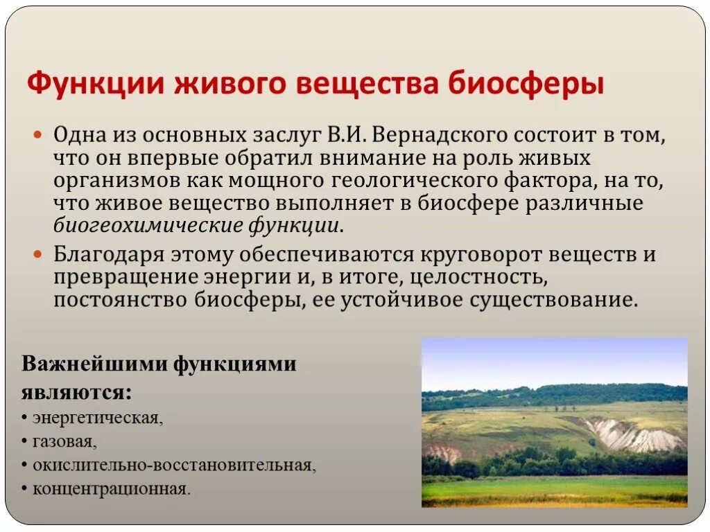 Живое вещество распределено в биосфере равномерно. Биология 11 класс функции живого вещества. Вернадский функции живого вещества биосферы. Функции живого вещества в биосфере. Основные функции живого вещества в биосфере.