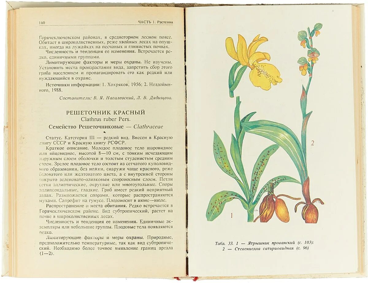 Рисование цветов книга. Растения красной книги рисовать. Книги о растениях. Растения из красной книги рисунки. Растения из красной книги россии.