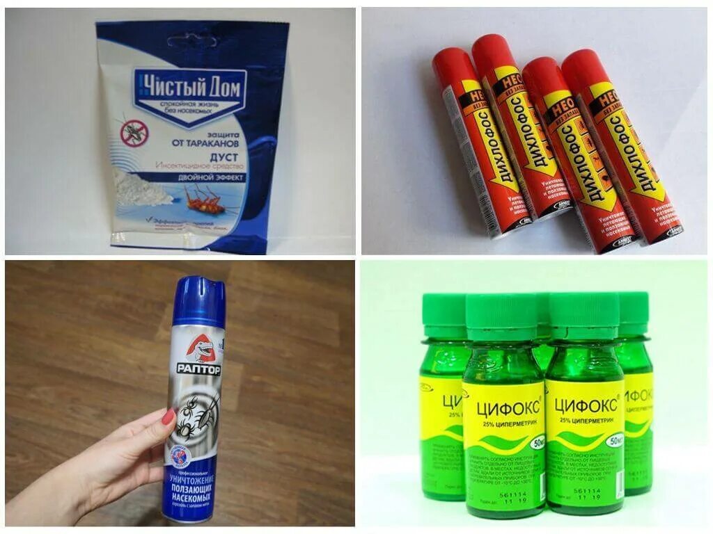 Средство от земляных блох. Эффективное средство от земляных блох в квартире. Средство от земляных блох в доме. Средство от земляных блох в частном доме. Эффективное средство от блох в доме.