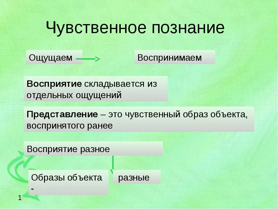 Чувственное познание предметов. Чувственное познание. Чувственное познание примеры. Формы чувственного познания. Чувственное знание.