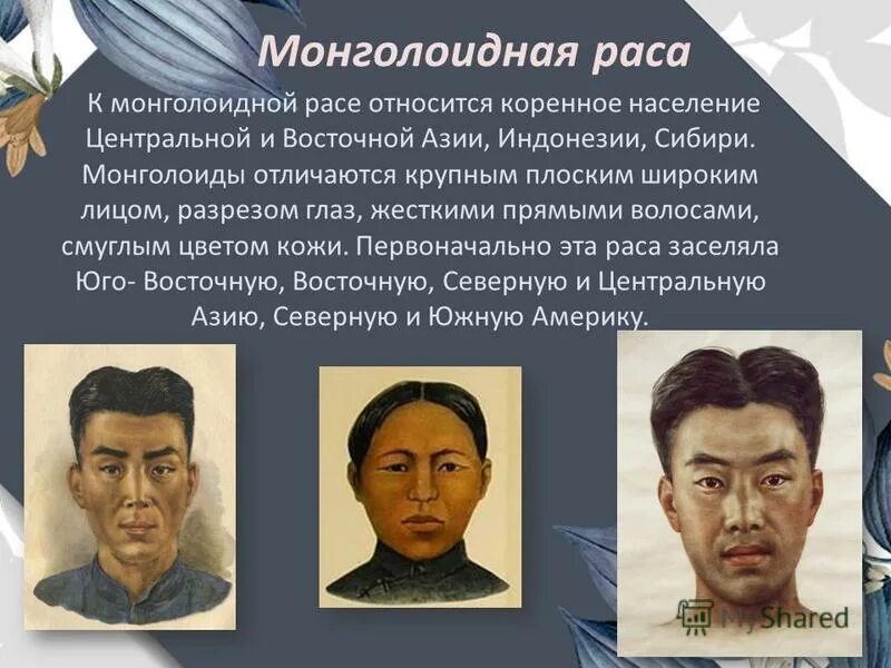 Какие расы относятся к монголоидной. Какие расы относятся к монголоидной. Какие расы относятся к монголоидной. Монголоидная раса подрасы. Монголоиды (азиатско-американская раса.
