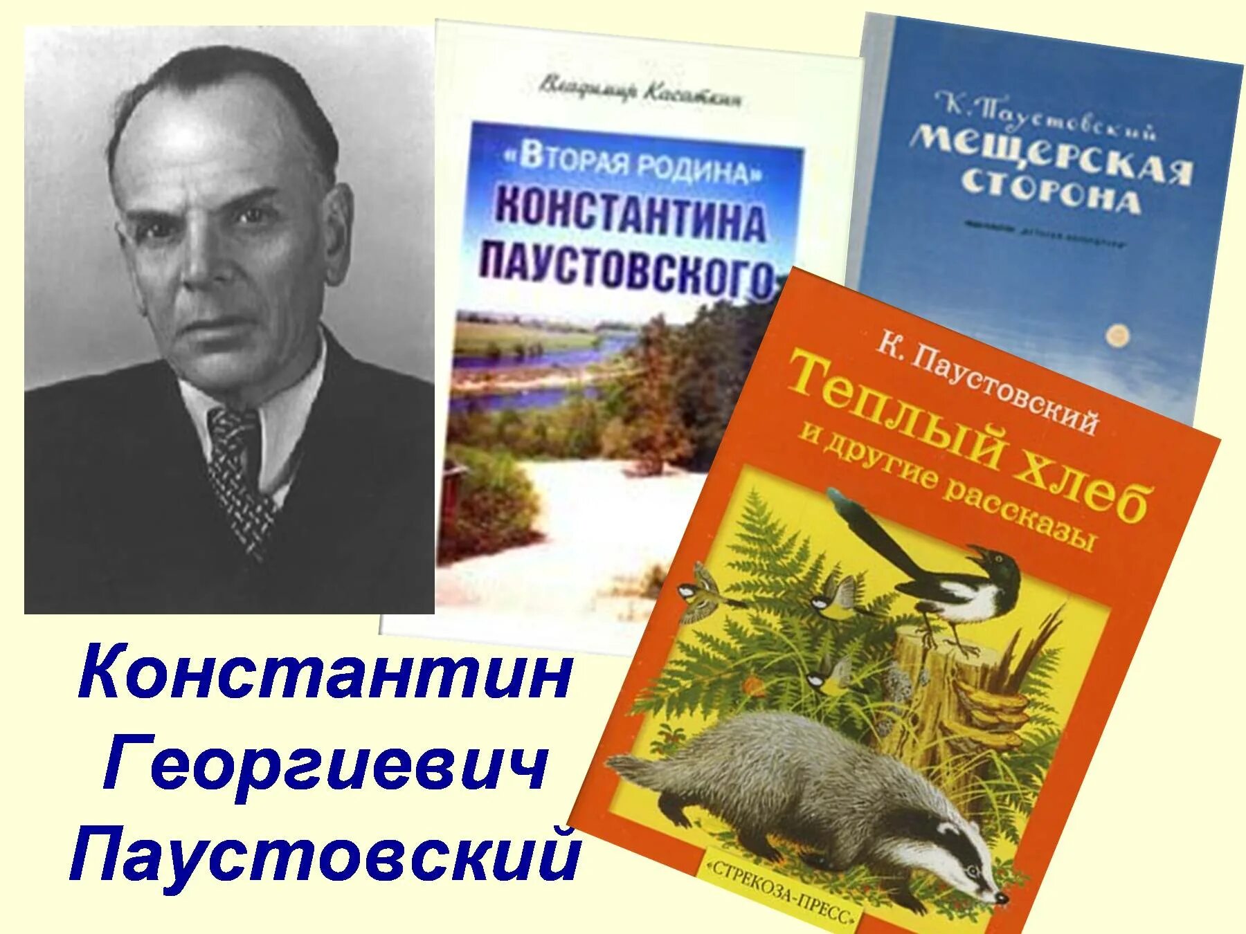 Ч паустовского. Писателя Константина Георгиевича Паустовского. Паустовский портрет писателя.