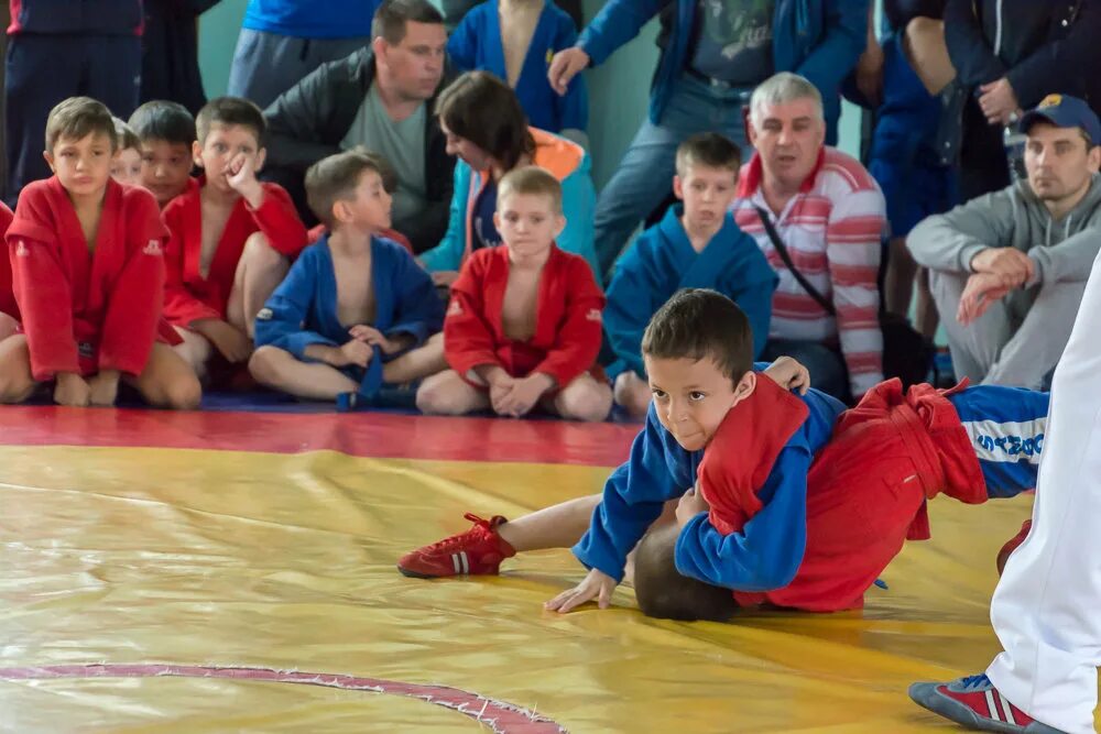 Юлия емельянова абакан самбо. Самбо хакасия. Смирнов михаил николаевич боевое самбо. Боевое самбо абакан. Самбо абакан.