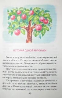 Яблоня читать