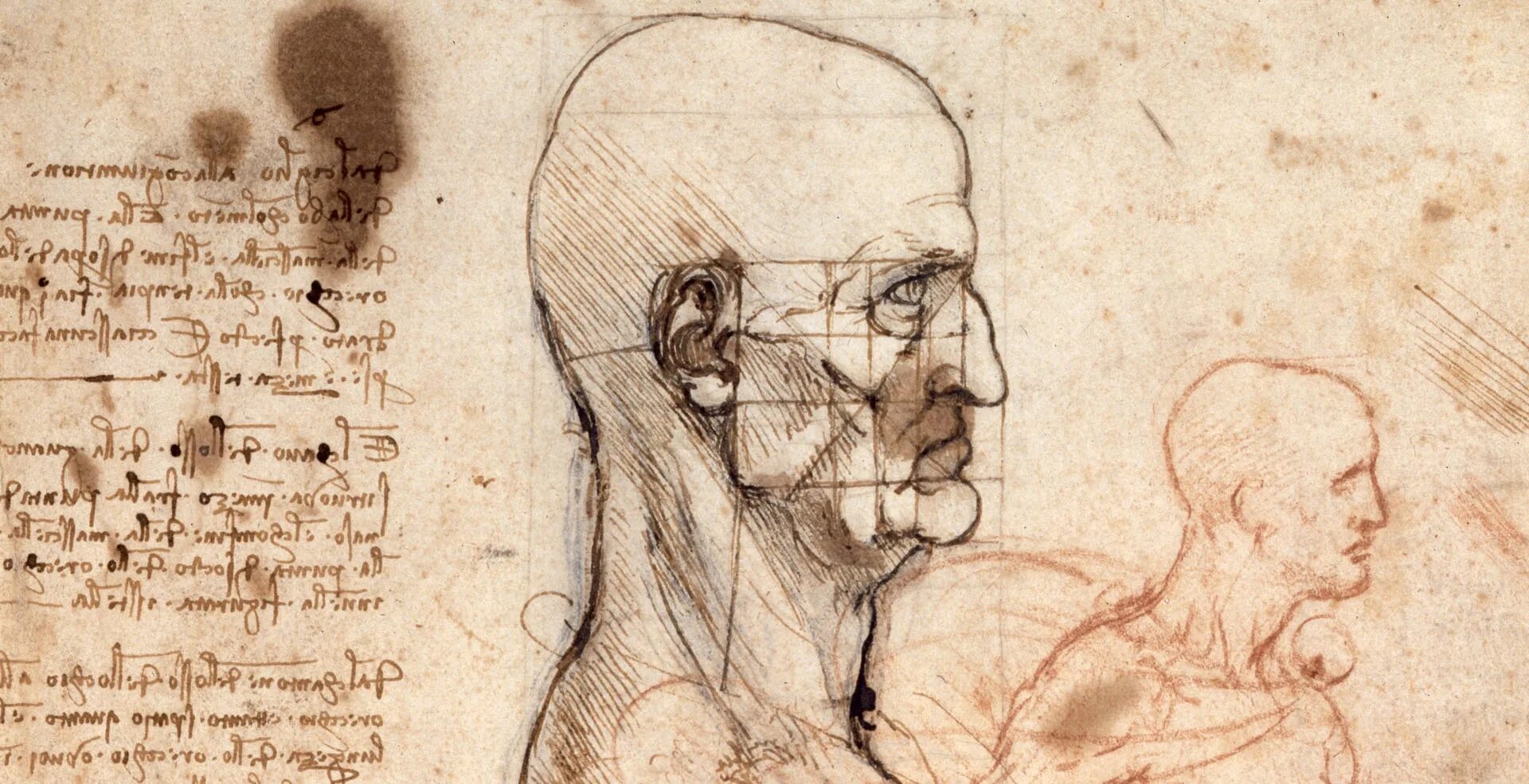 трактаты да винчи книга. леонардо трактат птиц. леонардо да винчи 1452-1519 анатомия. анатомический журнал леонардо давинчи. трактат о живописи леонардо да винчи книга.