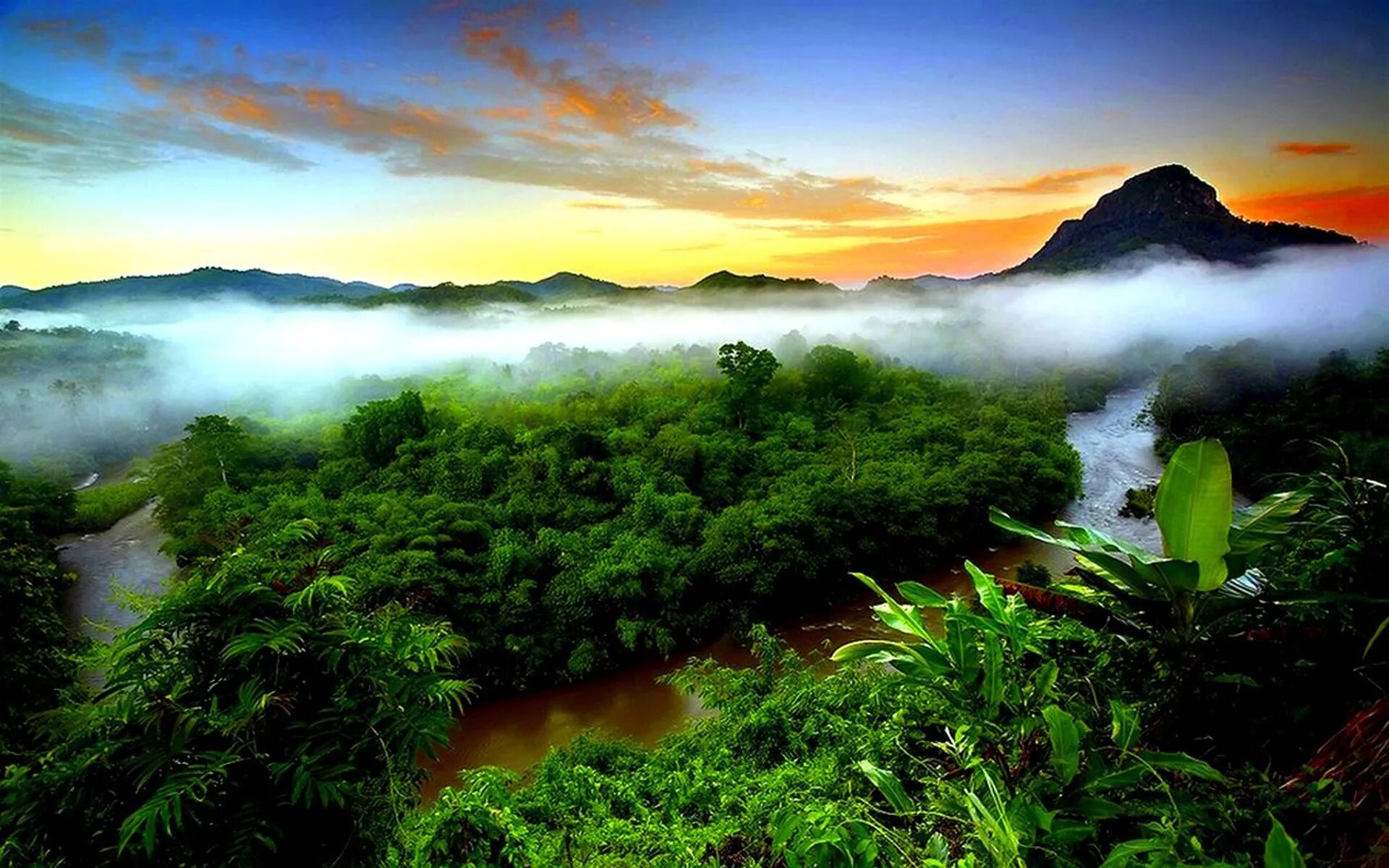 Amazon borneo congo. Джунгли Борнео Индонезия. Тропические дождевые леса Индии. Национальный парк Монтеверде (Коста-Рика). Индонезия остров Калимантан.