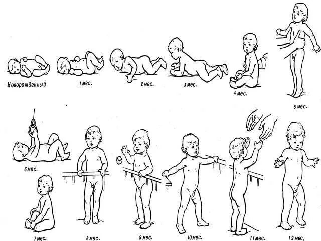 Этапы развития грудничка по месяцам. Этапы развития грудничка по месяцам до года. Схема развития ребенка. Этапы развития ребенка до года. Во сколько месяцев ползают девочки