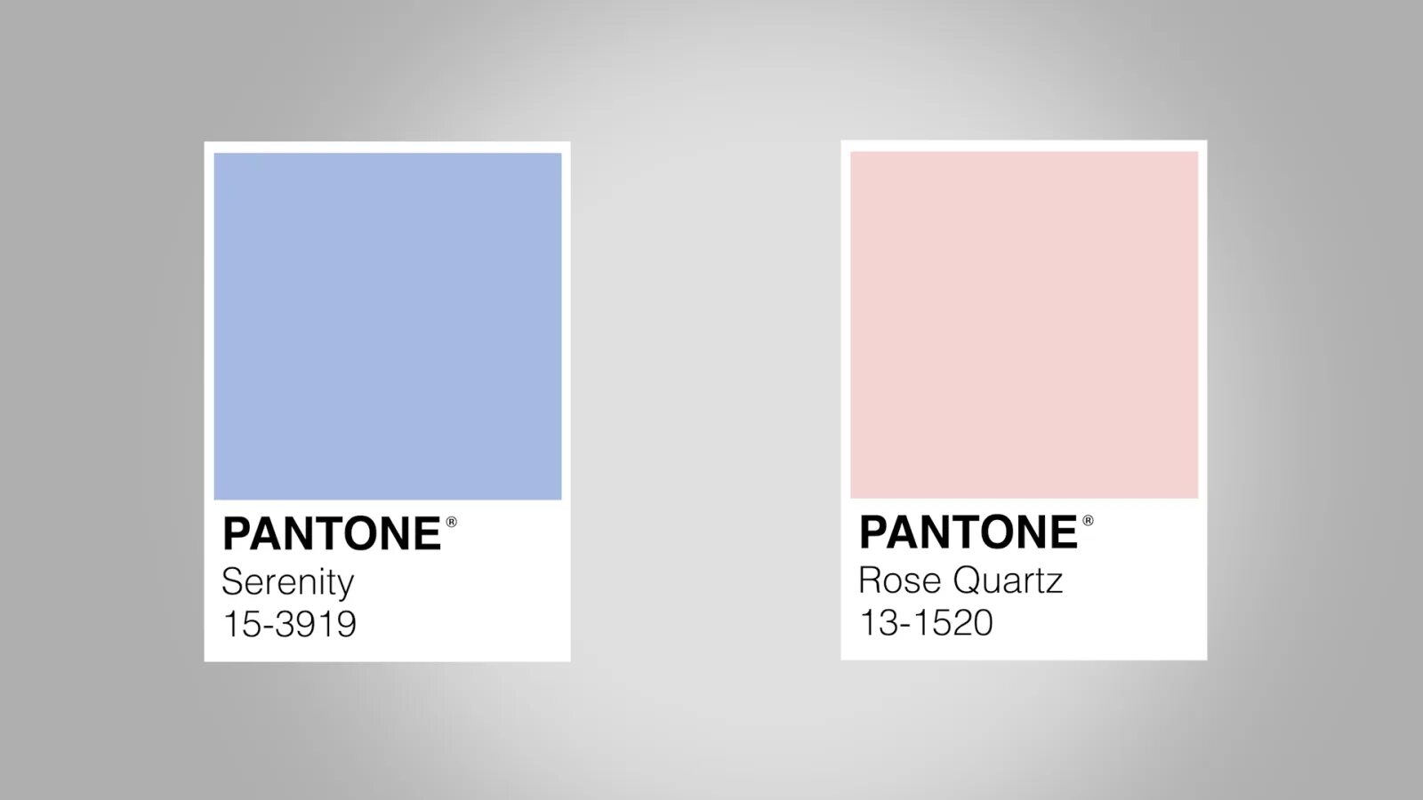 Pantone rose. Пантон 559с. нежно розовый цвет пантон. пудровый пантон. pantone нежные цвета.