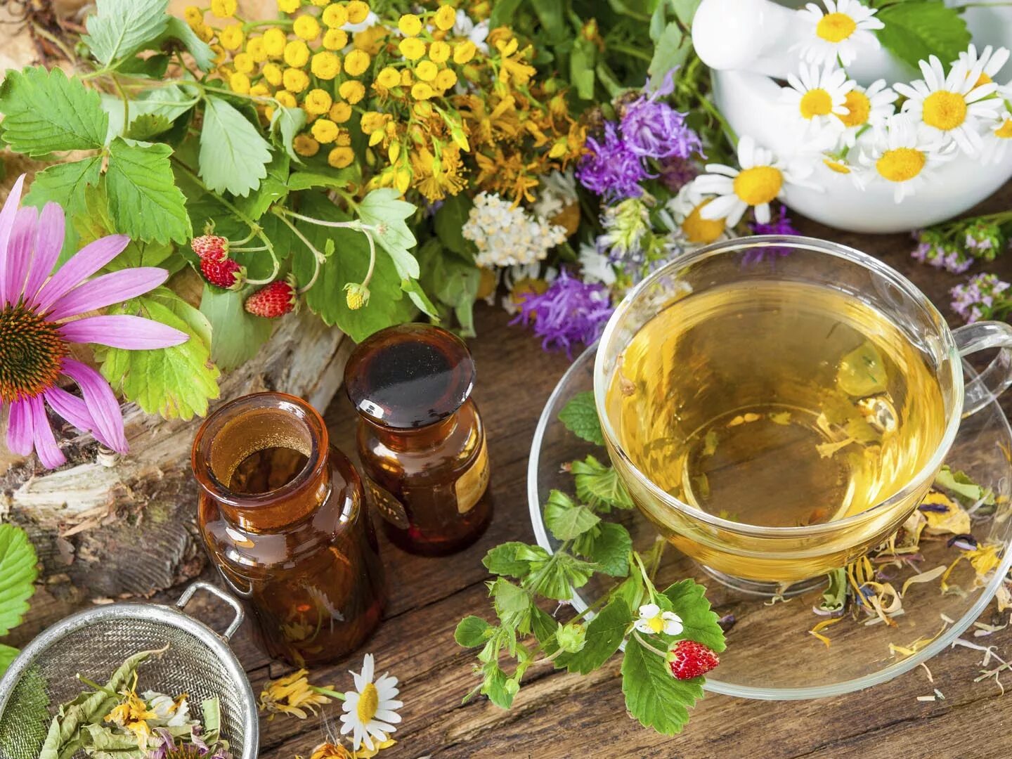 Medicine plants. Лечебные травы. Травяной чай. Фитотерапия лечение травами. Травяной отвар.