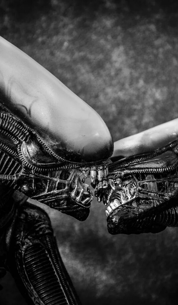 Fall in love with an alien