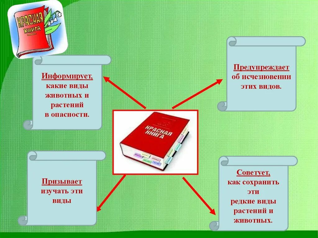 Информировать вид. Информировать вид