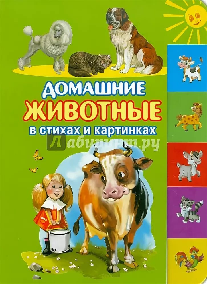 Книги о домашних животных читать. Книги о домашних животных. Домашние животные обложка. Книги о домашних животных для детей. Название книг о домашних животных.