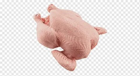 Тушка 3 про
