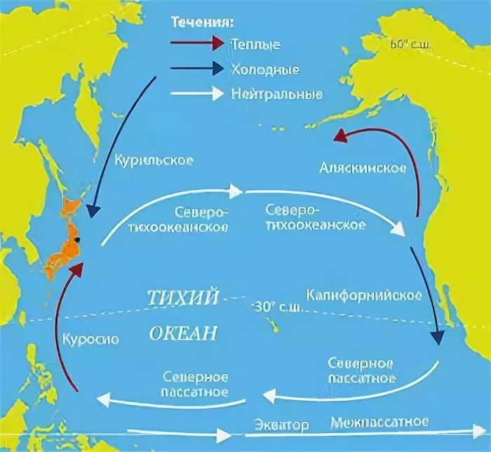 5 течения тихого океана. Курило Камчатское течение. Курильское течение на карте. Куришькое течение на карте. Камчатское течение на карте.