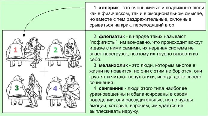 Холерик речь. Холерик и меланхолик совместимость. анекдоты про флегматиков. холерик шутки. анекдоты про холериков.
