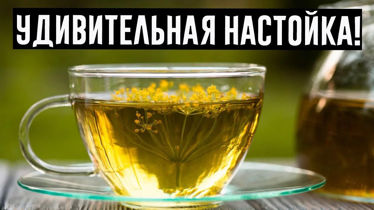 Укропный настой. Отвар из укропа. Семена укропа с медом. Отвар укропа. Укропный настой.