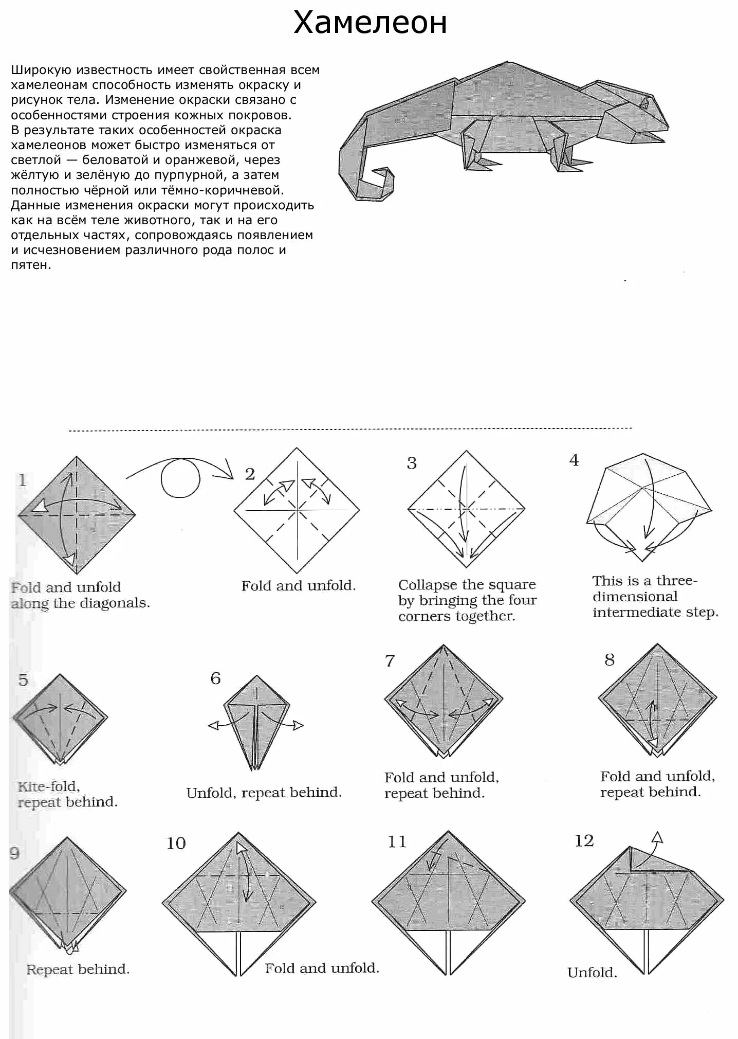 Аксолотль оригами схема. Оригами из бумаги. Оригами схемы. Оригами из бумаги схемы. Хамелеон схема