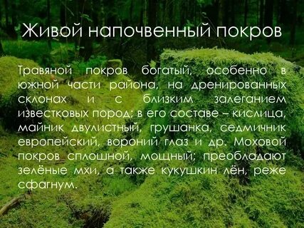 Древесный покров
