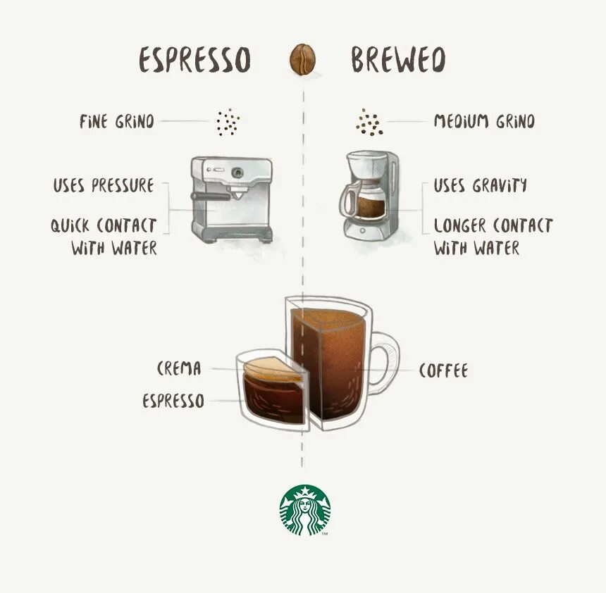 Чем отличается кофе от эспрессо. Различия кофе. Различия между кофе. Виды кофе. Разница кофе.