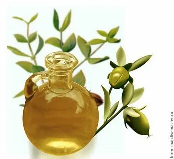 Jojoba oil