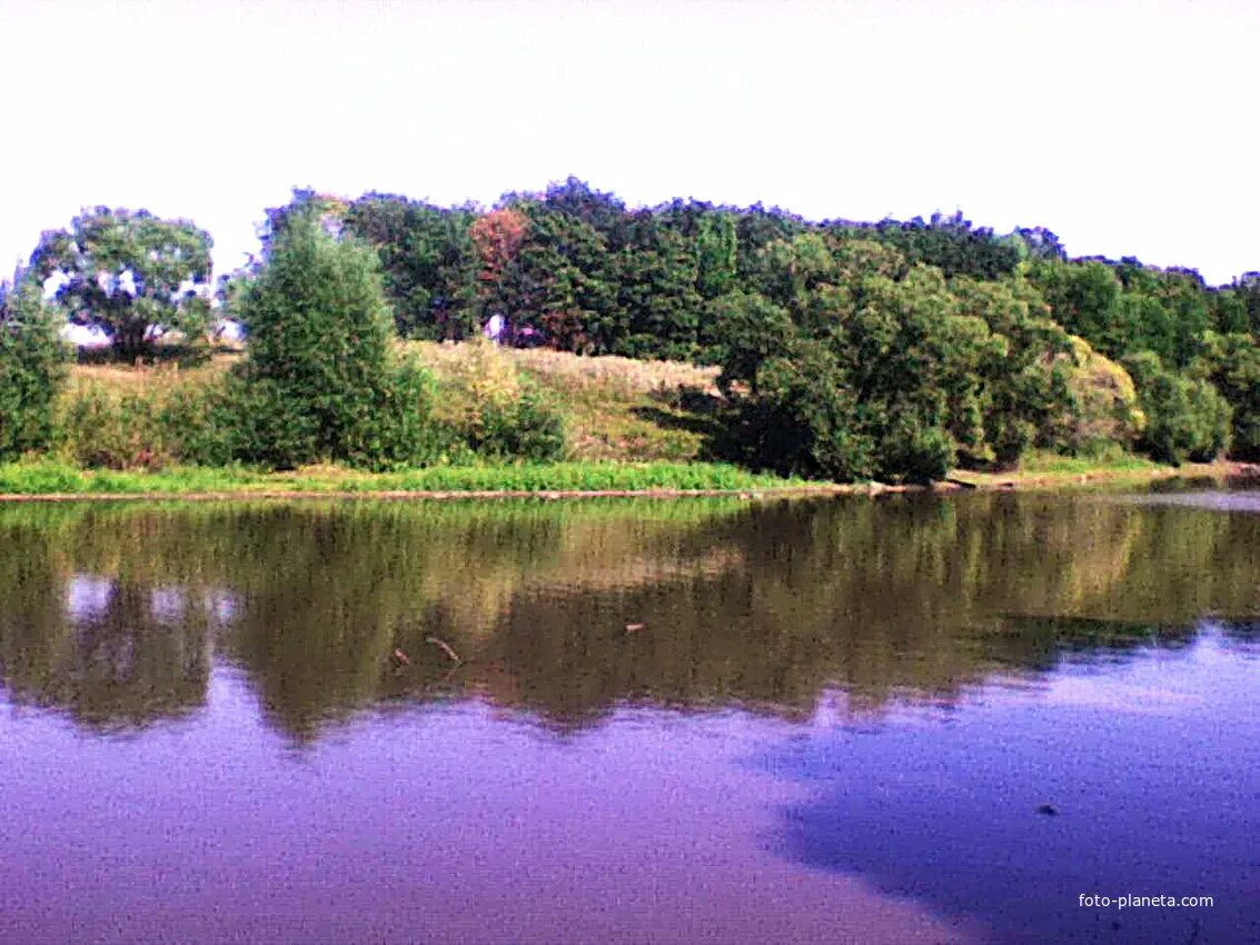 Машин пруд. Машин пруд. Машина у водоема. Машина в пруду. Машин пруд.