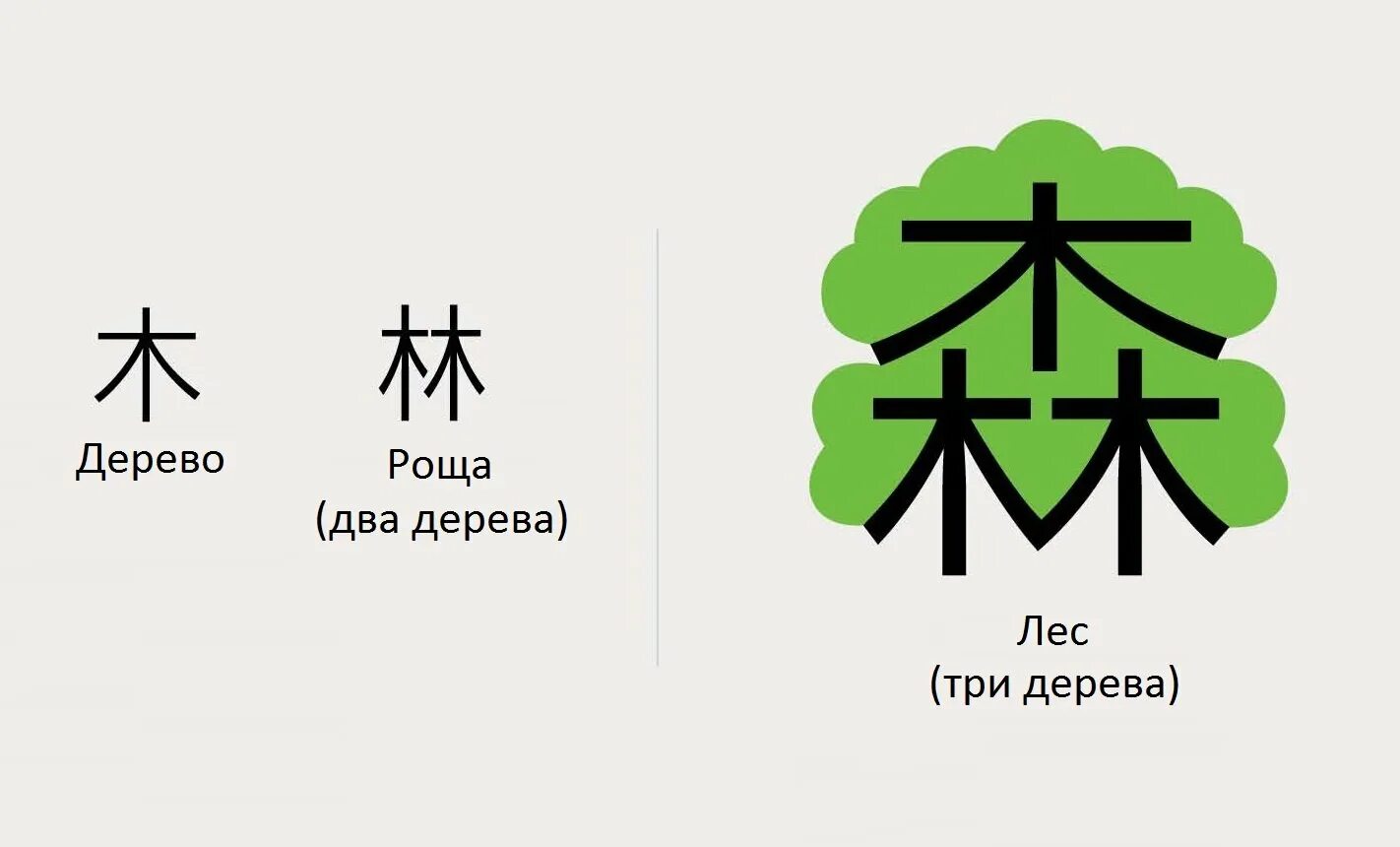 5 на китайском. Кедр Китаяма ДАЙСУГИ. Иероглиф дерево китайский. Японский иероглиф дерево. Простые китайские иероглифы.