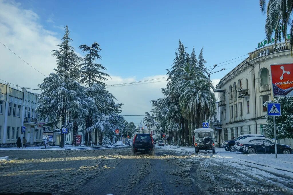 Погода на 10 дней в сухуми абхазия. Сухум зимой 2022. Зима в Сухуми. Зима d ce[evt. Новый район Сухум 2022.