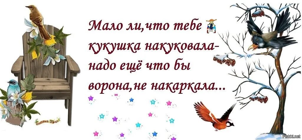 Кукушка куковала мало мало. Ворона накаркала. Шуточное изображение кукушки. Накукуй Кукушка. Кукушка а когда будет тепло.