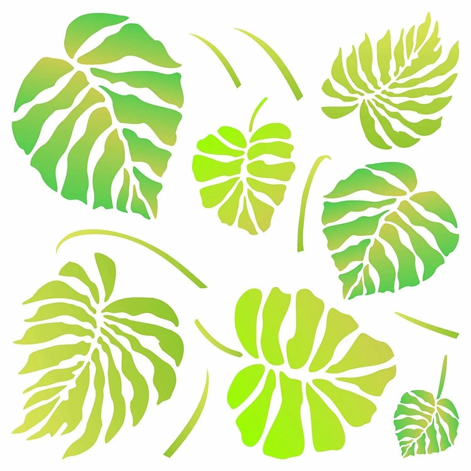 Монстера край листа. Monstera leaves. Monstera Leaf контур. Тропические листья. Трафарет лист монстеры для стены.