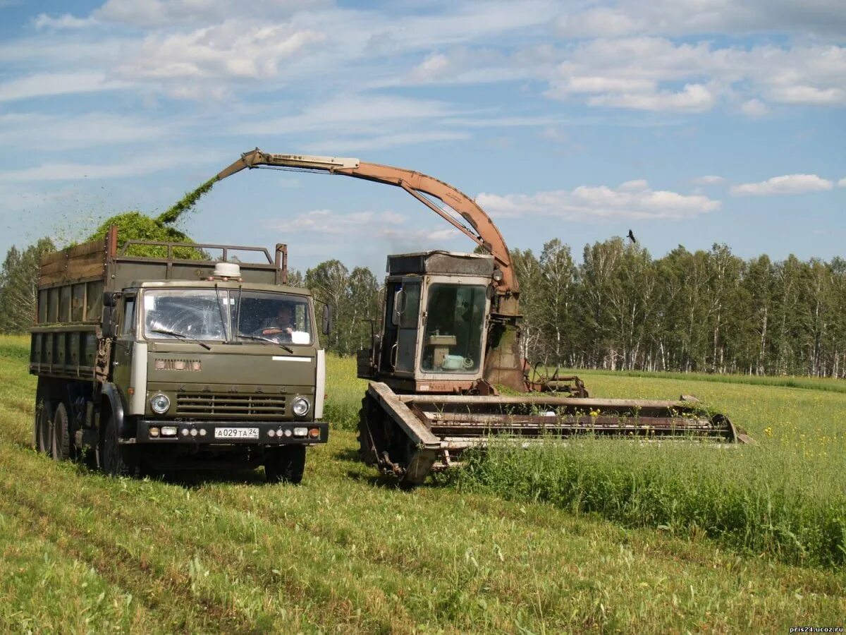 Кск 100а. КСК 100 комбайн. Кормоуборочный комбайн КСК-100. Самоходный кормоуборочный комбайн КСК-100а. Корма уборочный комбаин кск100.