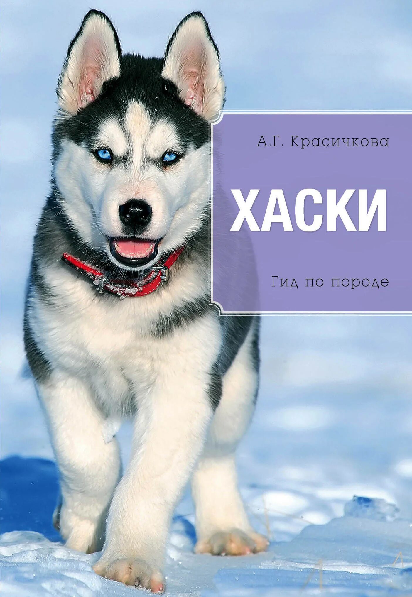 Маламут. Глаза хаски. Сибирский хаски породы собак. Хаски обложка. Веселый хаски.