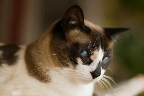 Ұйықтап жатқан адамдардың порно видеолары