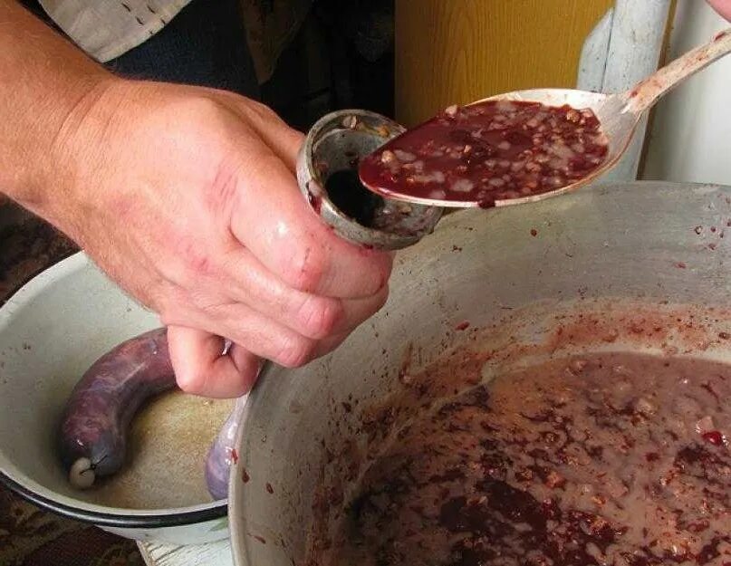 Кровяная колбаса как готовить