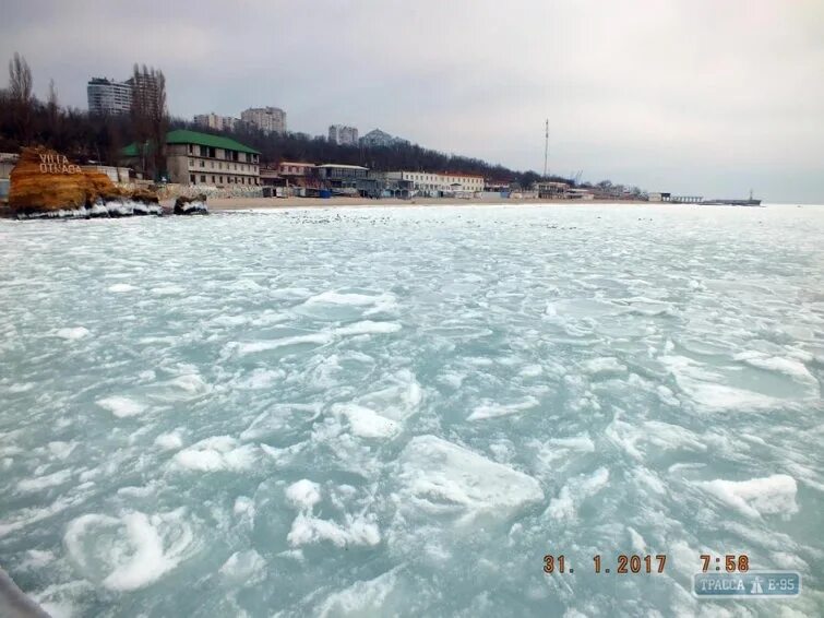 Замерзшее море в сочи. Новороссийск замерзло море. замерзшее море феодосия. замёрзшее море севастополь. замёрзшее море таганрога.