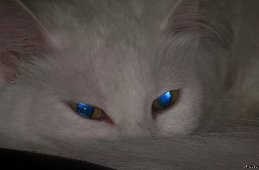 Татьяна фотопортрет. Бездонный океан глаза. Глаза океан. Два бездонных океана глаз. Океанические глаза.