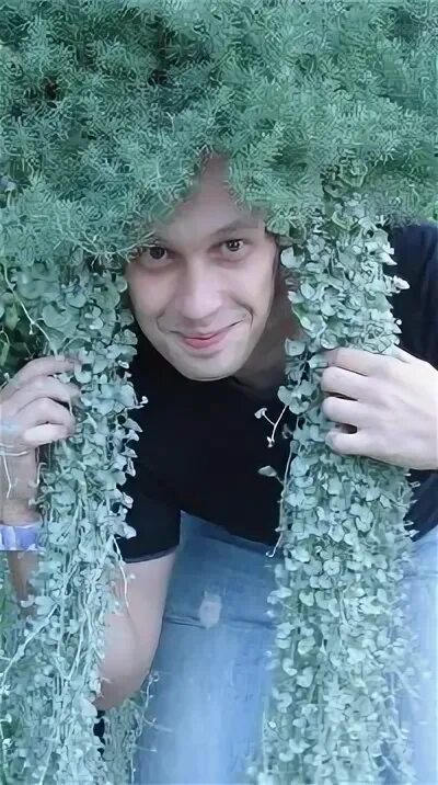 Васильков пенза. Васильков пенза. Васильков пенза. Васильков пенза. Васильков пенза.