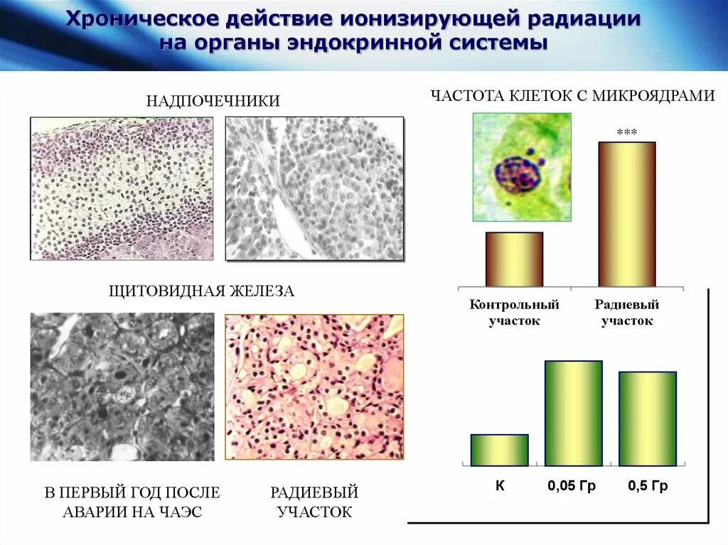 Хроническое излучение. Ионизирующей радиации животные. хроническое облучение. хроническое облучение животных. карбиды в радиации.