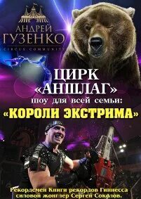Цирк мичуринск