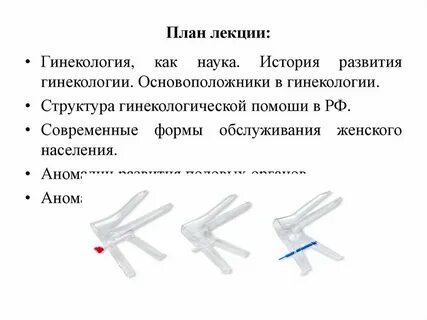Строение гинекологии