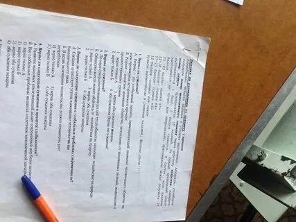 Разрешено ли освещение лампами холодного спектра гигтест Kitma.ru