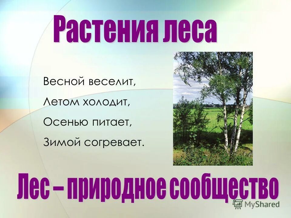 Весной веселит летом холодит осенью питает зимой согревает. Загадка весной веселит летом холодит осенью. Загадка весной веселит летом холодит осенью питает зимою согревает. Загадка весной веселит летом холодит осенью питает зимой.