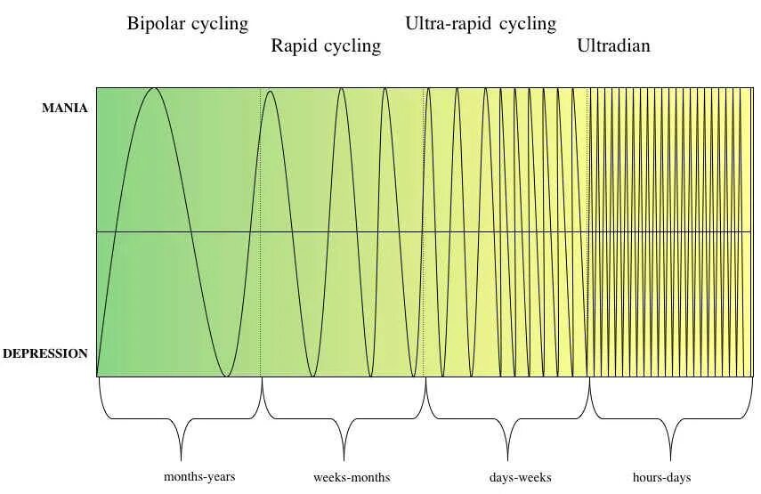 Vide me. Методика расчёта сайклинг процесса. Методика Rapid. Ultradian Rhythm. Lxner Bipolar.